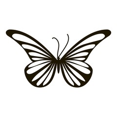 Moth butterfly icon. Simple illustration of moth butterfly vector icon for web
