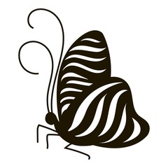 Stripped butterfly icon. Simple illustration of stripped butterfly vector icon for web