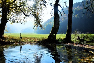 malerische Aussicht vom Bach