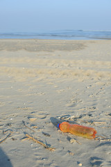 Pollution of the seas. Plastic waste on the beach.