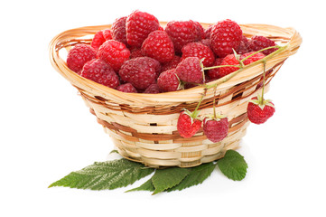 ripe raspberries in basket with mint on white
