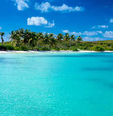 Fototapeta premium sea