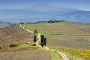 Fototapeta na wymiar road in village in Tuscany