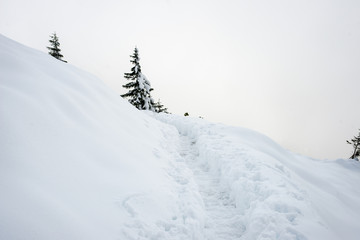 cold morning in the mountains in winter  with snow and blue skie