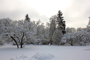 Snow-covered park