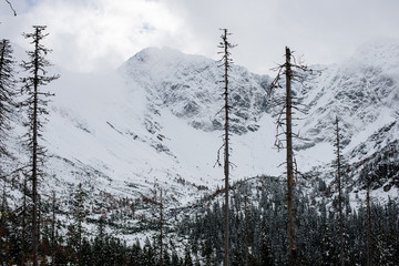 cold morning in the mountains in winter  with snow and blue skie