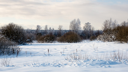 cold morning in the field in winter