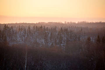 cold morning in the field in winter