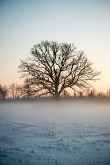 Winter park in cold morning with snow