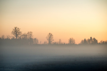 Fototapeta na wymiar cold morning in the field in winter