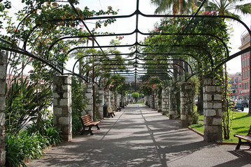 Parkway in Nice (France)