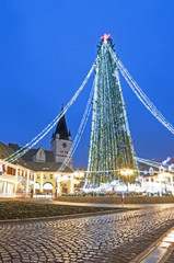 Christmas tree in town