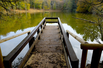 A pier on the lake of the Umbria Forest