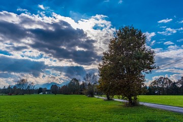 Fototapeta na wymiar Herbstlandschaft mit Laubbäumen im Gegenlicht