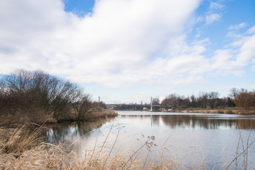Beauty landscape of tranquil pond.