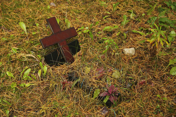 Pet Cemetery in the forest