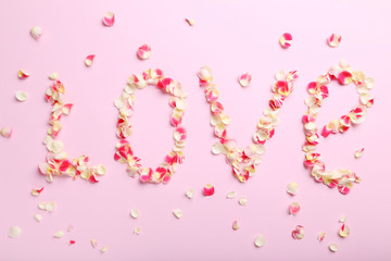 Rose petals on a pink background