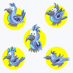 set of cheerful blue parrots. Tropical bird. Collection. A pet.