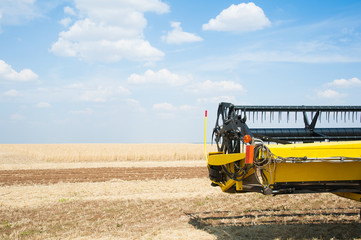 Fototapeta premium Combine harvesters ready for harvest