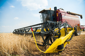 Combine harvesters in a field of wheat