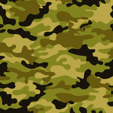 picture with a military color of the ground color khaki