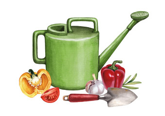 Garden tools and vegetables watercolor illustrations