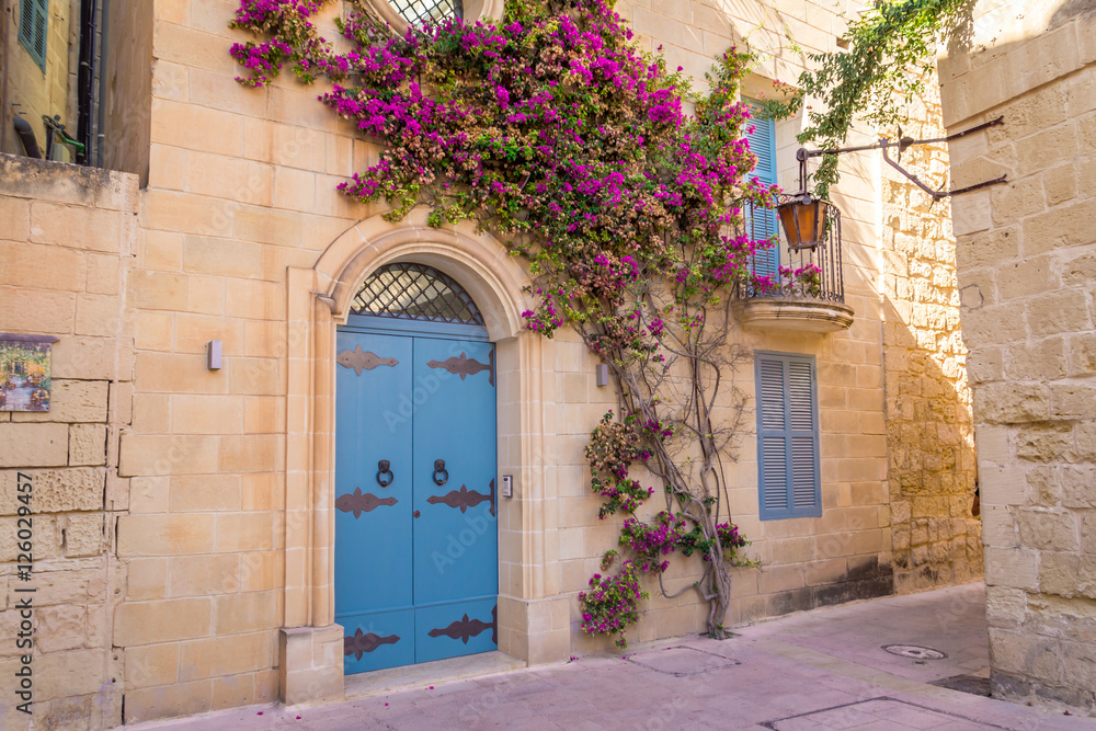 Wall mural beautiful facade with flowering plant growing up limestone wall