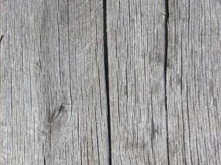 Wooden texture