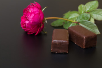Beautiful red rose with dew drops and chocolate candy