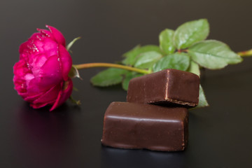 Beautiful red rose with dew drops and chocolate candy