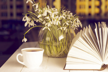 flower on the book in front of the window in the morning