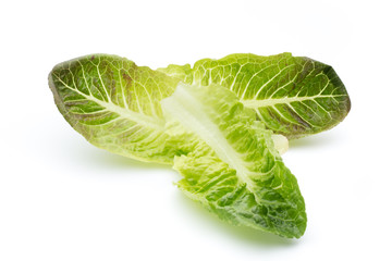 Cos Lettuce on the White Background.