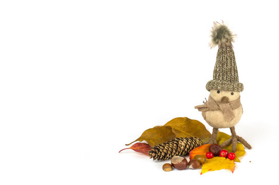 Decorative bird  with woolen hat in a autumn scene with leaves, chestnuts,  an acorn, a pine cone and some berries