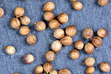 Many coriander on slate