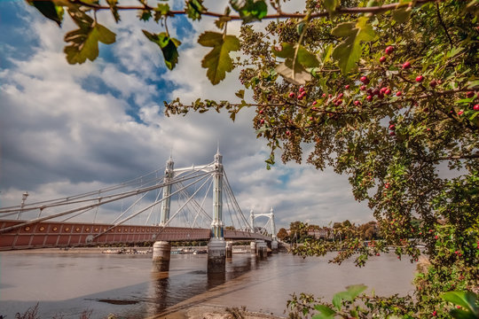 Chelsea Bridge in autumn