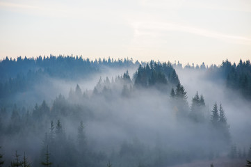 Morning in the mountains.