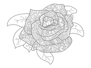 rose flower coloring vector for adults