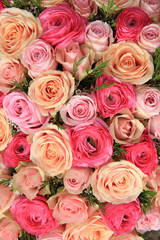 Obraz na płótnie Canvas Pink rose bridal bouquet