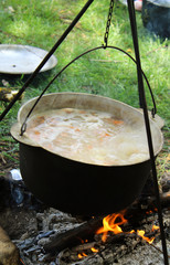 Cooking outdoors. Cauldron on a fire in the forest