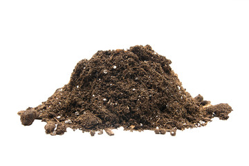 handful of ground on a white background