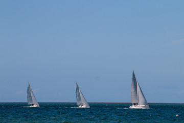 Fototapeta premium recreational sailing boats