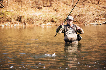 Lucky fisherman pulls caught grayling