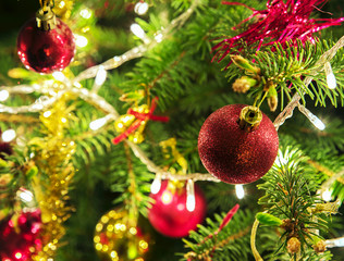 Fototapeta na wymiar Christmas tree