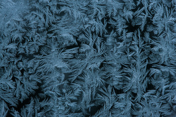 Frost flowers