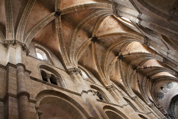 basilica of saint vicente