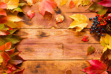 Thanksgiving day, autumn leaves background
