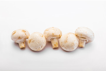 Five Natural Champignon Mushroom in a Row