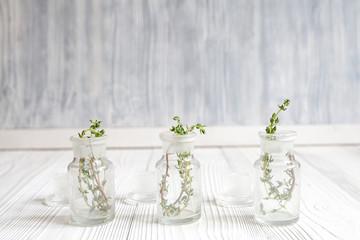 concept - natural medicine herbs in bottles on wooden background