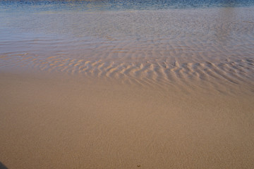 Fototapeta na wymiar Water ripples