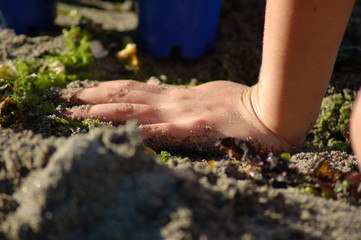 young hand in the sand and seaweed